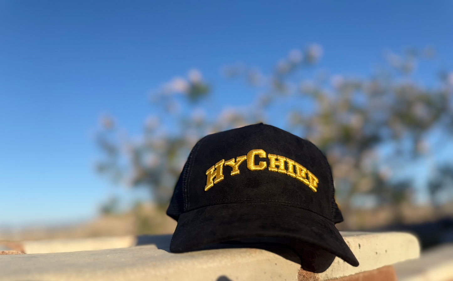 Exclusive Hy Chief Suede Mesh Trucker Snapback Hat