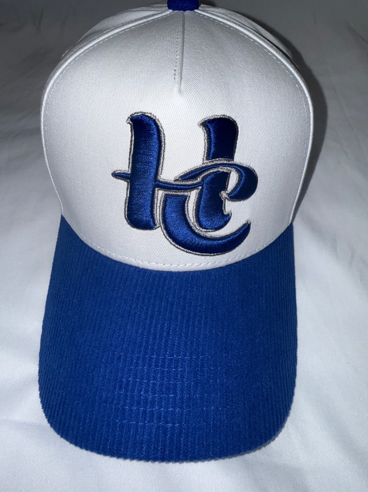 Royal Blue and Silver Snapback